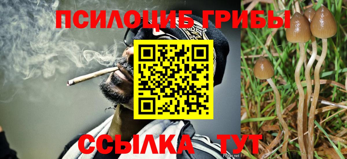 Псилоцибиновые грибы GOLDEN TEACHER  Вход с VPN  Кизляр 